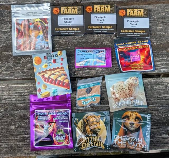 Mega BOGO — 182 seeds in one bundle