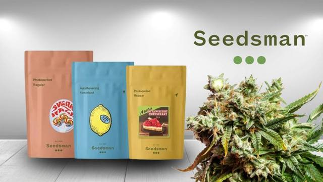 Storewide discount codes + fall freebies