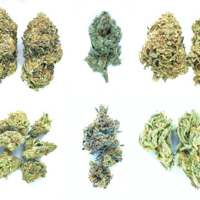 6 Strain Mystery Sampler — CBD hemp flower