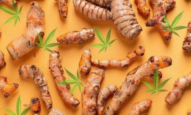 Inflammation Turmeric CBD Gummies — Mango Ginger, 10 ct