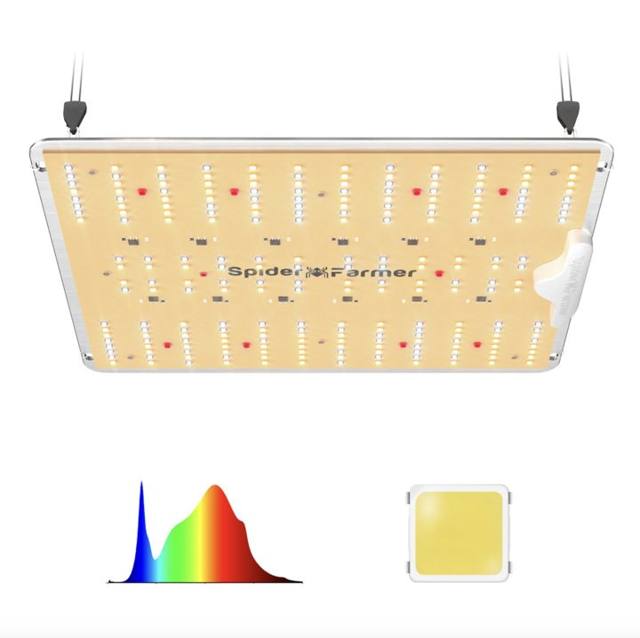 SF1000D LED grow light