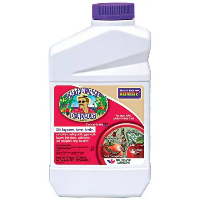 Bonide Captain Jack's Deadbug Brew Concentrate — 16 oz