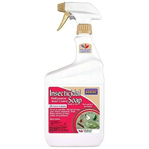 Bonide Captain Jack's Insecticidal Super Soap — 32 oz
