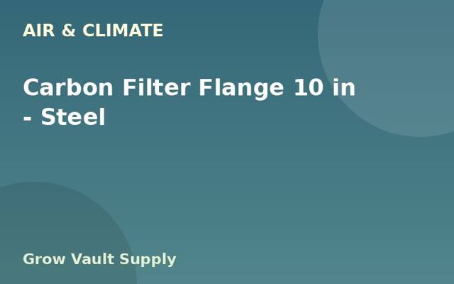Carbon Filter Flange 10 in — Steel