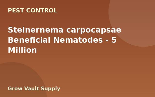 Steinernema carpocapsae Beneficial Nematodes — 5 Million