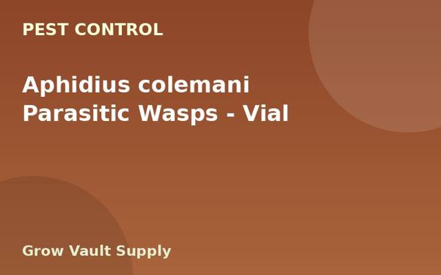 Aphidius colemani Parasitic Wasps — Vial
