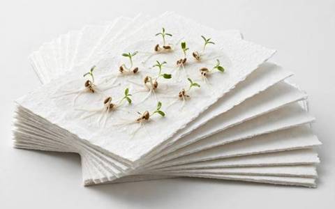 Integra Boost 55% Humidity Packs — 8 Gram, 10 Pack with Indicator Cards