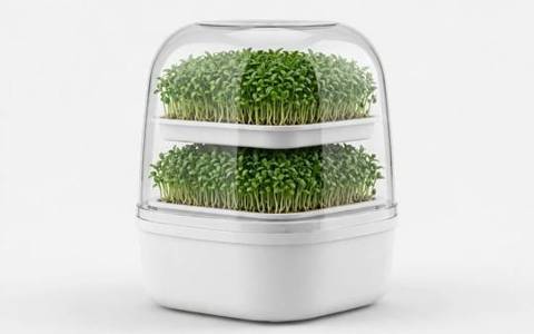 Integra Boost 62% Humidity Pack — 320 Gram for Large Storage Bins