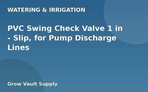 PVC Swing Check Valve 1 in — Slip, for Pump Discharge Lines