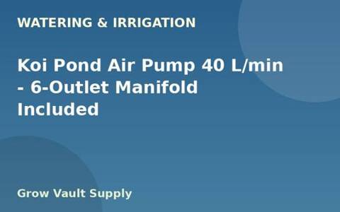 Koi Pond Air Pump 40 L/min — 6-Outlet Manifold Included