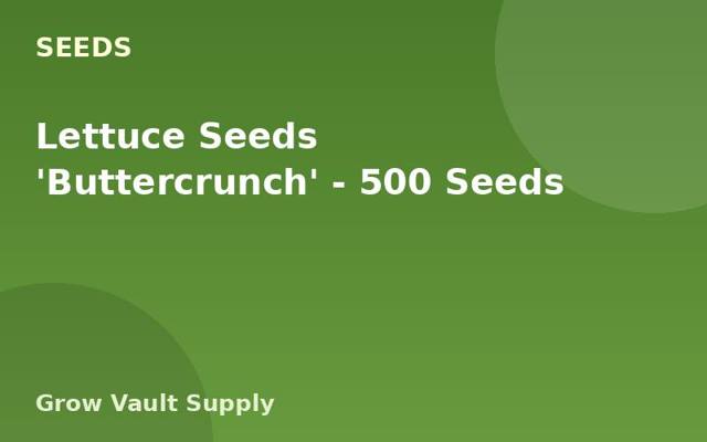Lettuce Seeds 'Buttercrunch' — 500 Seeds