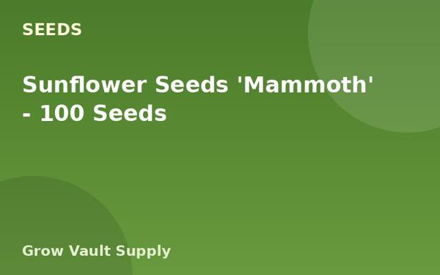 Sunflower Seeds 'Mammoth' — 100 Seeds