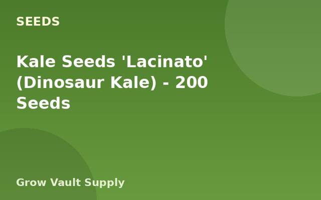 Kale Seeds 'Lacinato' (Dinosaur Kale) — 200 Seeds