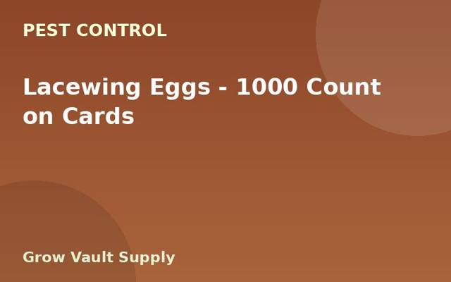 Lacewing Eggs — 1000 Count on Cards