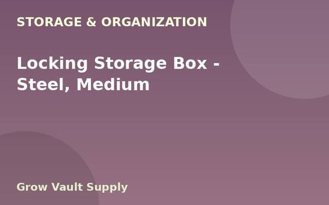 Locking Storage Box — Steel, Medium