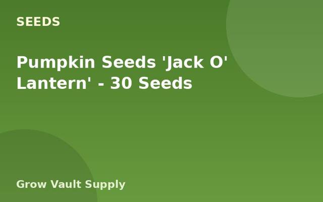 Pumpkin Seeds 'Jack O' Lantern' — 30 Seeds