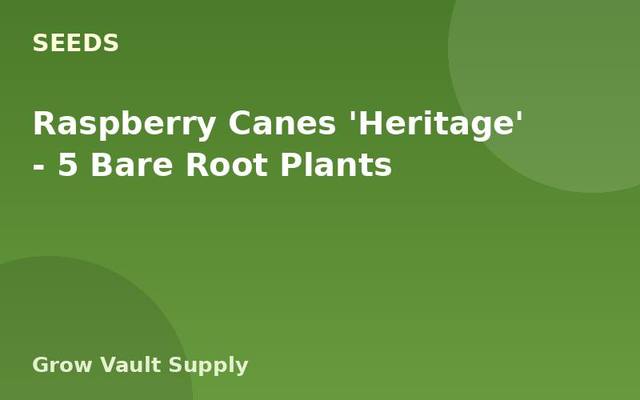 Raspberry Canes 'Heritage' — 5 Bare Root Plants