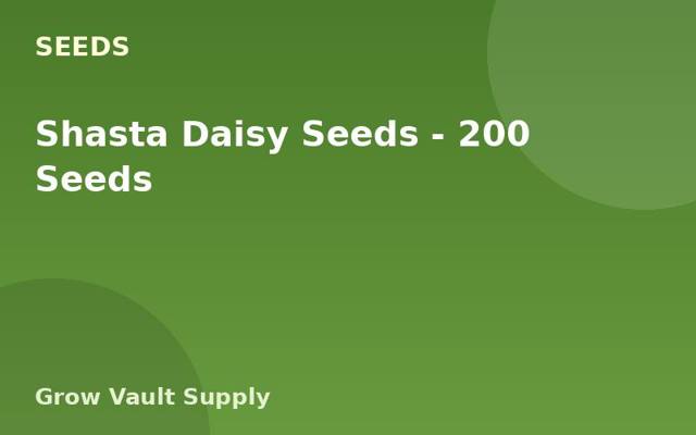 Shasta Daisy Seeds — 200 Seeds