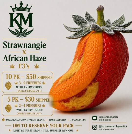 Kush Monarch Genetics promo — Strawnangie x African Haze F3's: 10-pack $50 shipped with 3-5 freebies, 5-pack $30 shipped with 2-4 freebies, DM to reserve your pack